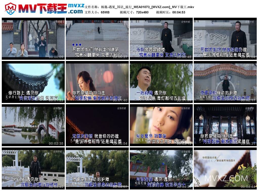 杨胤-遇见_国语_流行_MEA01073